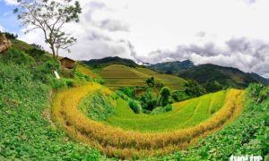 Ruộng bậc thang Mù Cang Chải chính thức trở thành di tích quốc gia đặc biệt