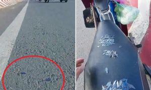 Vừa ra quân quét đinh rải dọc quốc lộ 1, hàng trăm miếng đinh sắc nhọn lại...