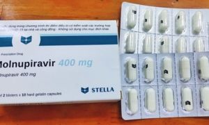 Chuẩn bị cấp phép lưu hành 3 thuốc molnupiravir Việt Nam