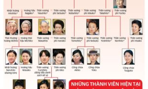 Hoàng gia Nhật ngày càng neo người, hiện chỉ có 17 người