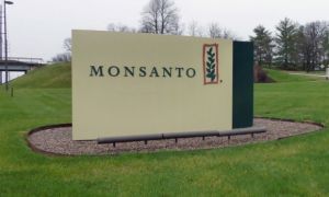 Mỹ xử người Trung Quốc làm nội gián trong Tập đoàn Monsanto
