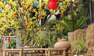 Chi 5 triệu sắm Tết chẳng thiếu thứ gì: Cả nhà đều vui