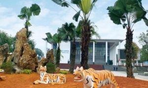 Đàn hổ gầy trơ xương đón Tết 2022, thực hư thông tin bị di dời sau khi gây...