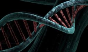 Phát hiện biến thể gene chống lại Covid-19