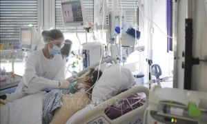 Châu Âu muốn xem COVID-19 là bệnh đặc hữu