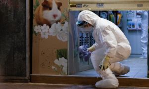 Hamster 'dính' COVID-19, Hong Kong yêu cầu dân nộp hàng ngàn con để tiêu hủy