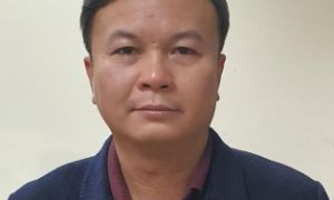 Bắt Chủ tịch Công ty TNHH MTV Công viên cây xanh Hà Nội