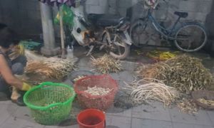 Cơ sở ở TP.HCM ngâm 8 tấn ngó sen trong hóa chất để bán ra thị trường