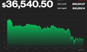 Bitcoin thê thảm, đầu cơ hoảng loạn khi xuống đáy 35.000 USD
