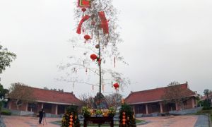 Cây Nêu trong đời sống văn hóa người Việt