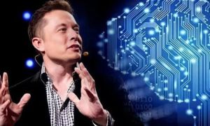 Elon Musk sắp thử nghiệm chip cấy não trên người?