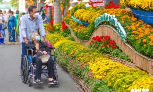 Đường hoa xuân cho bệnh nhân ở Bệnh viện Chợ Rẫy