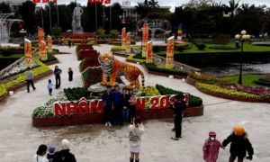 ‘Hổ Quảng Trị’ là chú hổ đẹp nhất Tết năm nay?