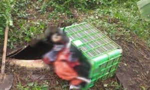 Tới đòi nợ, người phụ nữ bị con nợ đánh chết rồi giấu xác xuống hầm biogas