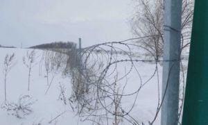 Hàng rào thép gai dài cả 100 km được dựng ở Đông Ukraine