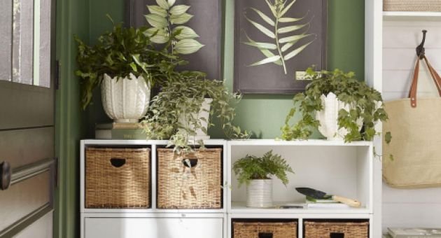 Những cách đơn giản để làm mới ngôi nhà của bạn