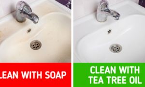 Bí quyết làm sạch phòng tắm mà không cần cọ rửa nhiều