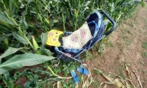 Ám ảnh hàng loạt vụ ôm con tự tử: Khi những đứa trẻ vô tội phải hứng chịu cái...