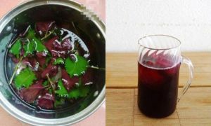 Mỗi ngày uống 1 cốc nước tía tô, sau 1 tuần, chị em nhận liền 7 thay đổi tuyệt...
