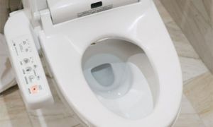 Thêm thứ này vào bồn cầu, dù có cặn bẩn đến đâu cũng trôi đi tuồn tuột