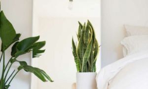 Trang trí phòng ngủ theo phong cách tối giản