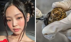 9 bí mật chăm sóc da từ các phụ nữ trên khắp thế giới