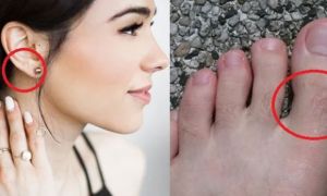 Thầy phong thủy chỉ rõ: 4 vị trí đột nhiên mọc lông gia chủ ngồi không hưởng...