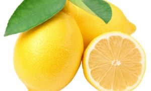 Những công dụng tuyệt vời của chanh đông lạnh mà bạn chưa biết
