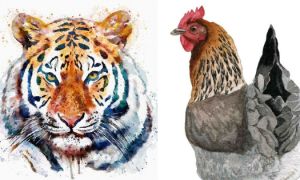 Sổ trời vạch sẵn: 3 tuổi vướng hạn đen đủi trong năm Quý Mão 2023, 2 tuổi ra...