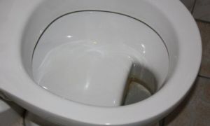 Người Đức thiết kế bồn cầu một mình một kiểu? Ai mới nhìn cũng phải trợn mắt,...