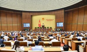 Các đại biểu Quốc hội băn khoăn về tiêu chí xác định “biển số xe đẹp”