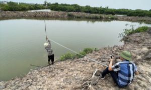 Trục lợi bồi thường giải phóng mặt bằng, hàng loạt cán bộ bị khởi tố