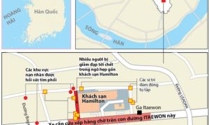 Thảm họa giẫm đạp ở Hàn Quốc: Nguy hiểm tiềm ẩn trong những đám đông