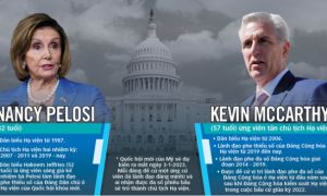 Khi Hạ viện Mỹ vắng bóng bà Pelosi