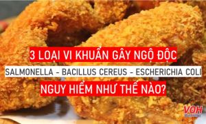 Vụ ngộ độc tại trường iSchool Nha Trang: 3 loại vi khuẩn trong cánh gà chiên...