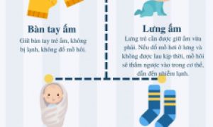 Quy tắc