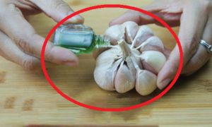 Nhỏ vài giọt dầu gió lên tỏi: Lợi ích tuyệt vời, nhà giàu hay nghèo đều cần...