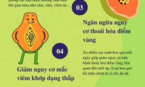 Loại trái cây được mệnh danh là