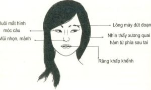 Người có 1 trong 3 nét tướng này nên tránh xa, đó là những ai?