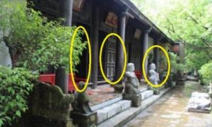Trong nhà đột nhiên xuất hiện 4 điềm này: Chứng tỏ gia chủ được ăn lộc Tổ...