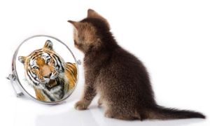 Về bà mẹ trong chuyện