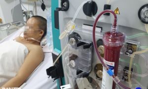 Cảnh báo loại virus đã bùng phát ở 2 nước Đông Nam Á, gây sưng não tử vong