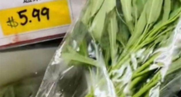 Loại rau giá rẻ ở Việt Nam sang nước ngoài thành hàng siêu đắt đỏ