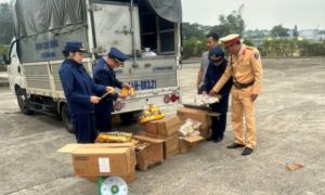 Quảng Ninh thu giữ khối lượng lớn thực phẩm ăn liền không rõ nguồn gốc