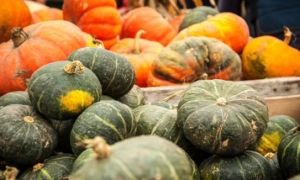 Thực phẩm phù hợp với bệnh viêm loét dạ dày