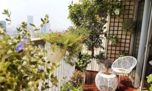 Người xưa dặn: