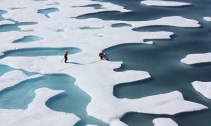 Tại sao băng biển tinh khiết như nước ngọt trong khi đại dương lại mặn?