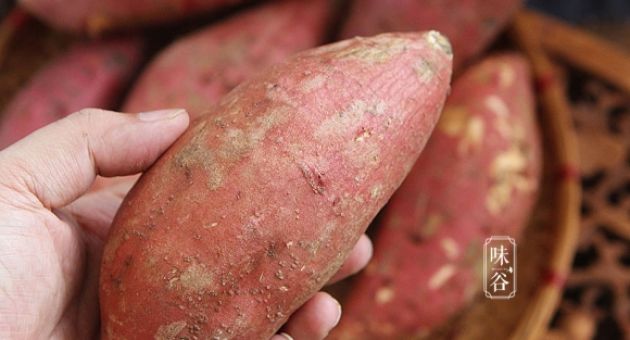 Mỗi sáng ăn một củ khoai lang tốt gấp trăm lần uống thuốc bổ