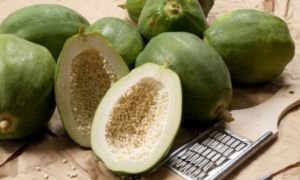 Tác hại của đu đủ xanh ít người biết