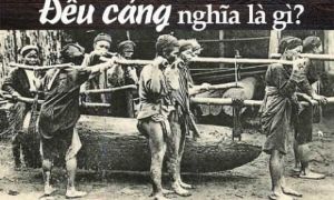 Đểu cáng là gì?